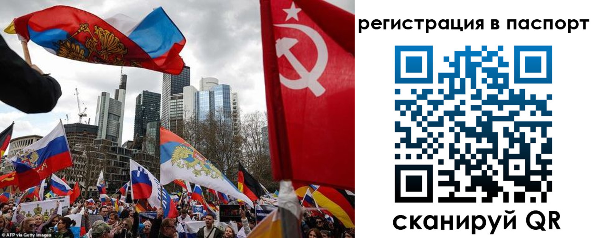 временная регистрация поиск в Сертолово